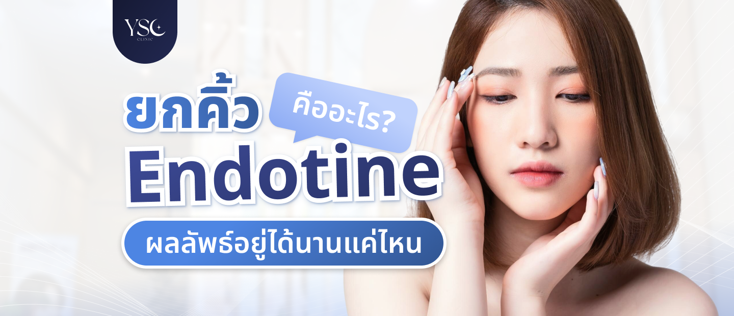 ยกคิ้ว Endotine